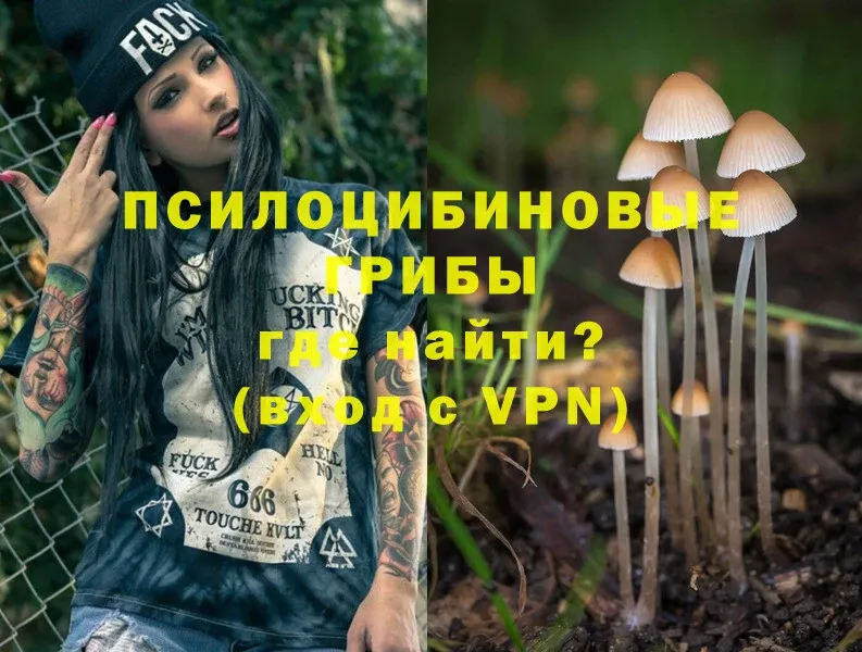 Псилоцибиновые грибы MAGIC MUSHROOMS Новоуральск